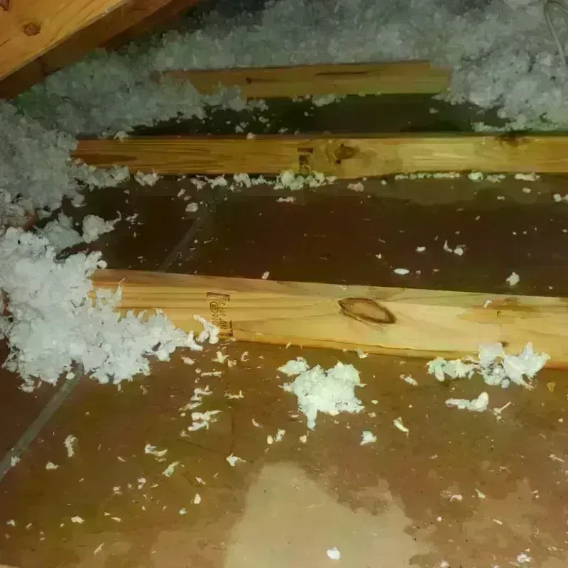 Attic Water Damage in Long Beach, NC