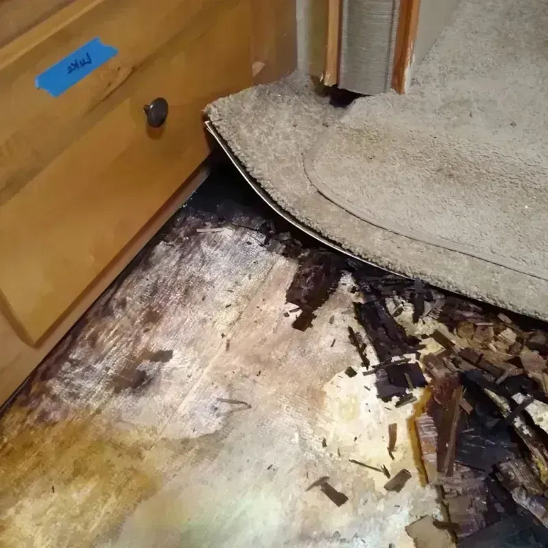 Wood Floor Water Damage in Long Beach, NC